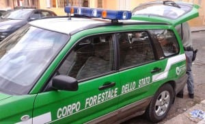 Corpo Forestale dello Stato - Aprigliano, sigilli a tre condotte di acque reflue - Ad apporre i sigilli alle tre condotte di Aprigliano il Corpo Forestale dello Stato, perchè collegate direttamente alla rete fognaria