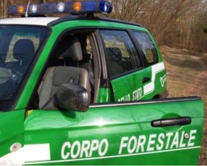 Corpo Forestale dello Stato: sequestrata area nel Comune di Spezzano Piccolo - L’area è stata posta sotto sequestro dal Corpo Forestale dello Stato per deturpamento di bellezze naturali, al suo interno scaricavano condotte fognarie non autorizzate. Deferita società titolare degli scarichi. Nella giornata di ieri, 22 Maggio, gli agenti del Corpo Forestale dello Stato della stazione di Spezzano della Sila hanno posto sotto sequestro un’area di circa 500 metri quadrati nella località “Acquicelle” nel comune di Spezzano Piccolo. Il sequestro è avvenuto durante un servizio di controllo del territorio finalizzato alla tutela dell’ambiente e del paesaggio.
