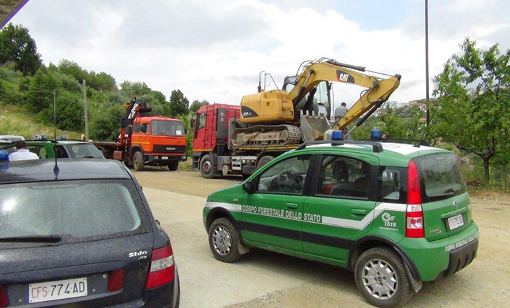 Acri, scoperto taglio abusivo di diecimila alberi
