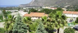 Ulivo centro accoglienza