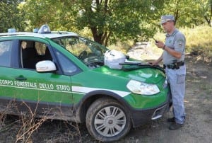guardia-forestale