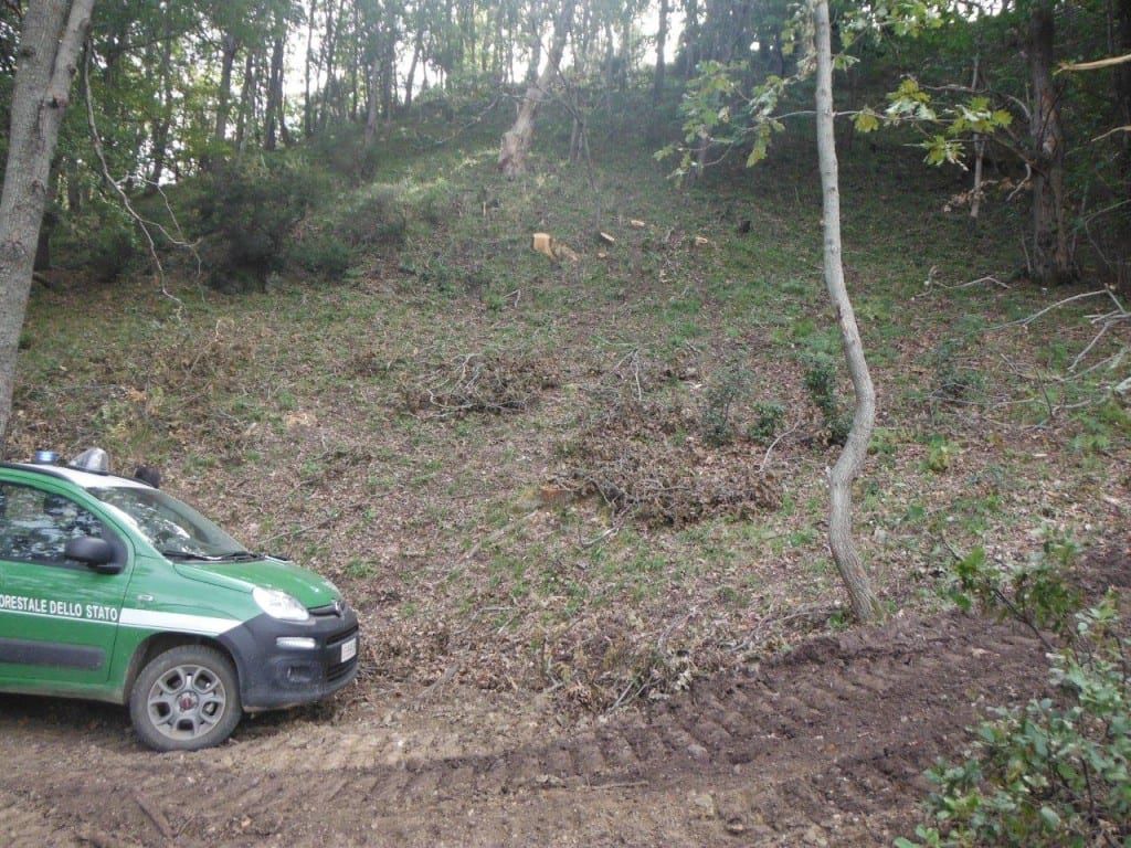 Corpo forestale dello stato