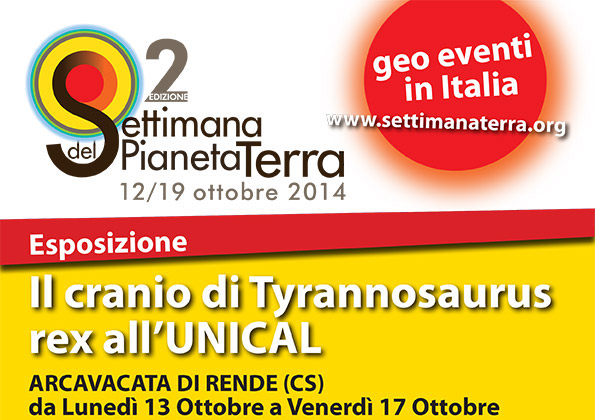 Cranio di Tyrannosaurus rex Unical Rende