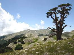 Parco del Pollino