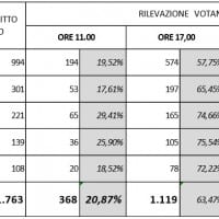 Rilevazione voto Provincia di Cosenza ore 20 dati definitivi