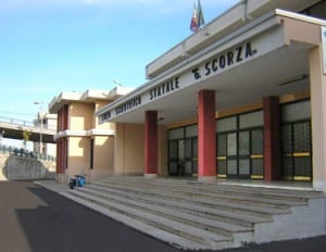 liceo scorza