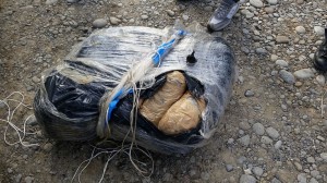 Cosenza, ritrovata marijuana in mare