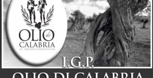 olio calabria