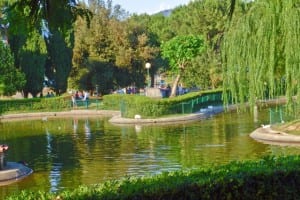 Parco Robinson - A Rende le aree verdi aprono le porte agli amici a quattro zampe