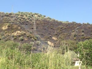 Incendio a Bisignano, denunciate due persone