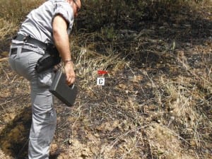 Incendio a Bisignano, denunciate due persone