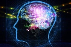 BrainComp2015