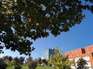 Unical Giorgio Terracina