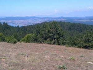 Parco nazionale della Sila