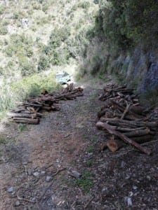 Orsomarso, furto di legna in area comunale