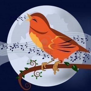 5237753-illustrazione-vettoriale-di-un-uccello-che-canta-durante-la-notte-di-luna-piena[1]_0[1]