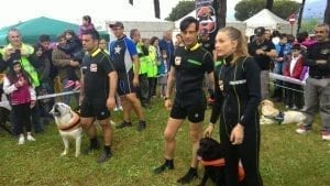 Festa degli amici animali Rende svoltasi nei giorni 6-7-8 maggio 2016