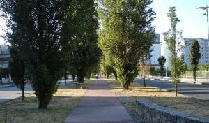 viale parco cosenza