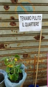 Piano di bonifica e derattizzazione della città: la soddisfazione del Comitato "Piazza Piccola"