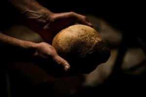 parco del pollino cranio paleolitico