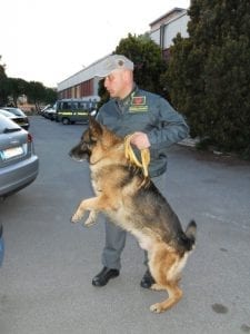 Vacon , cane antidroga in dote agli agenti della Guadia di Finanza di Reggio Calabria