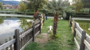 Parco Robinson di Rende