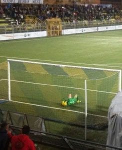 Perina a terra in lacrime, si teme un infortunio serio