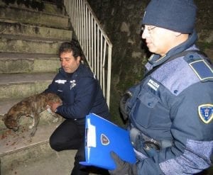 Polizia provinciale