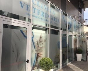 VetLife - Viale della Repubblica 2A - Cosenza