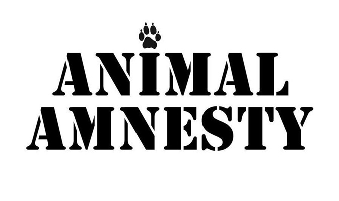 Animal Amnesty