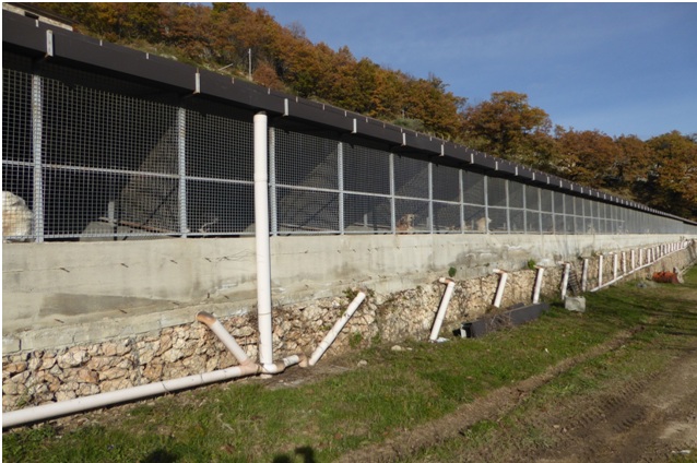 Canile rifugio di Mendicino