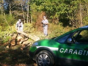 Carabinieri Forestale a Marano Marchesato