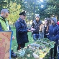 Cupone a Spezzano Sila