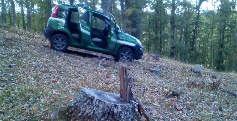 Furto di legna a Rossano