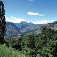 Il Pollino verdeggiante
