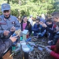 Riserva Naturale del Cupone a Spezzano Sila