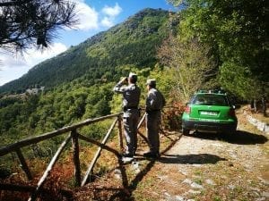 Guardia Forestale