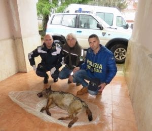 Polizia Provinciale della Sila