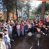 festa dell'albero