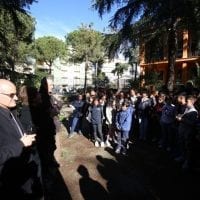 Cosenza, Festa dell'Albero