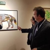 Abramo, Occhiuto e Tomao