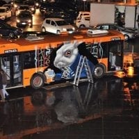 Buon Feste a Cosenza