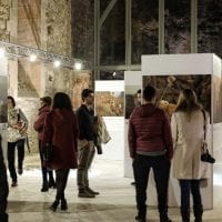 Mostra di Lynn Johnson