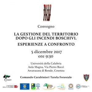 convegno incendi
