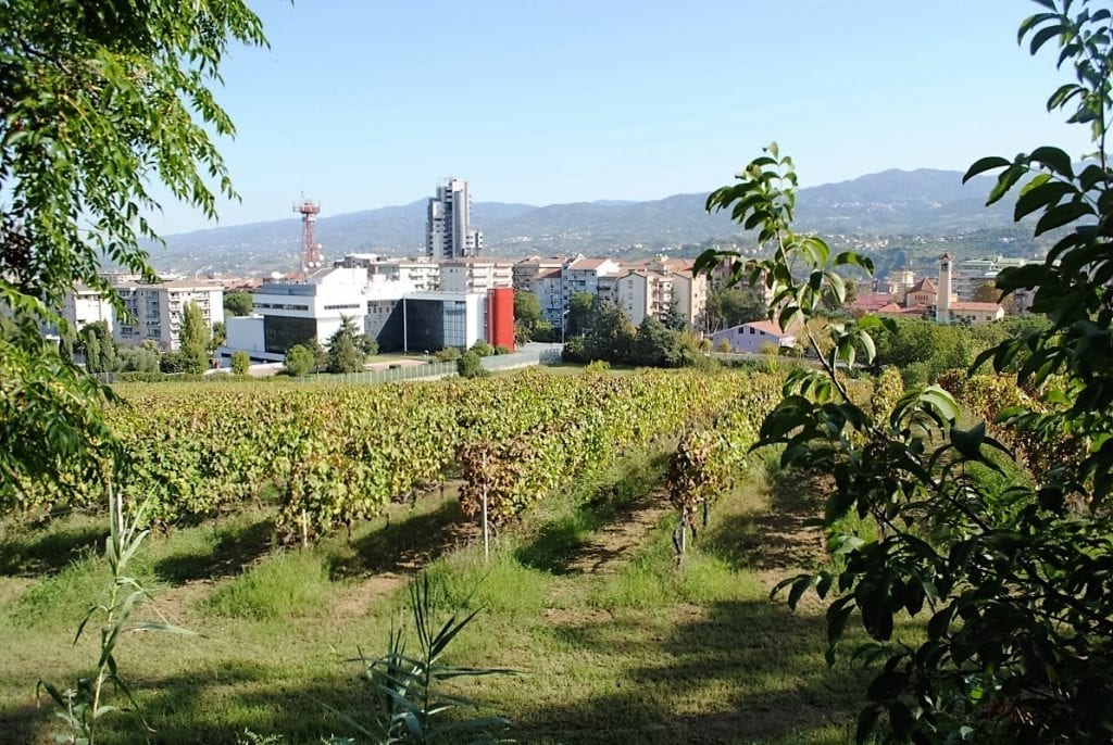 Istituto agrario Mancini