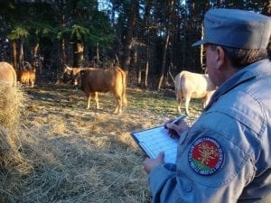 carabinieri-forestale