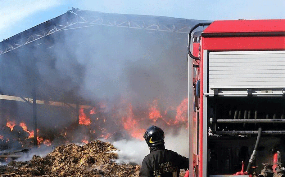 incendio-azienda-agricola-fratelli-Aceto-Bisignano-Cosenza