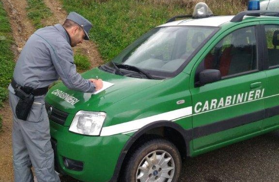 carabinieri forestale-controlli nella zona