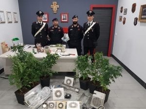 Marijuana nel sottotetto di casa