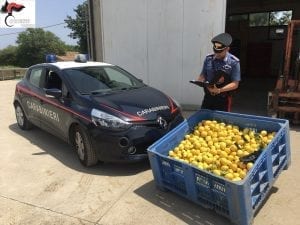 Furto di limoni e di lastrica di rame del tetto del teatro due arresti